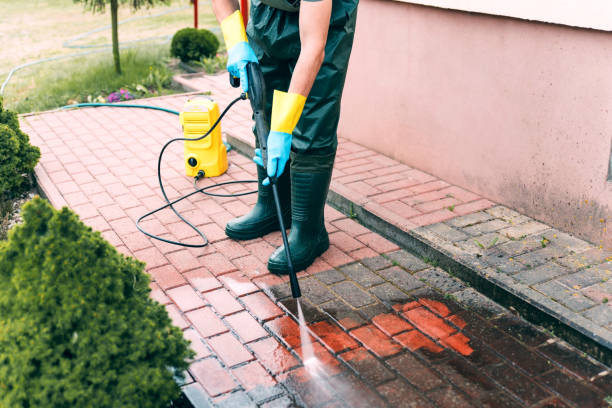 Best Animal Enclosure Cleaning  in Fort Payne, AL